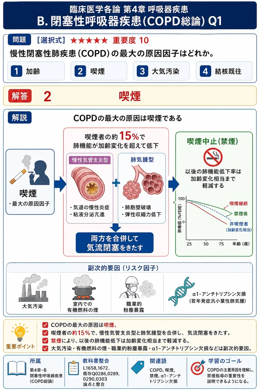 慢性閉塞性肺疾患(COPD)の最大の原因因子はどれか。 解説図