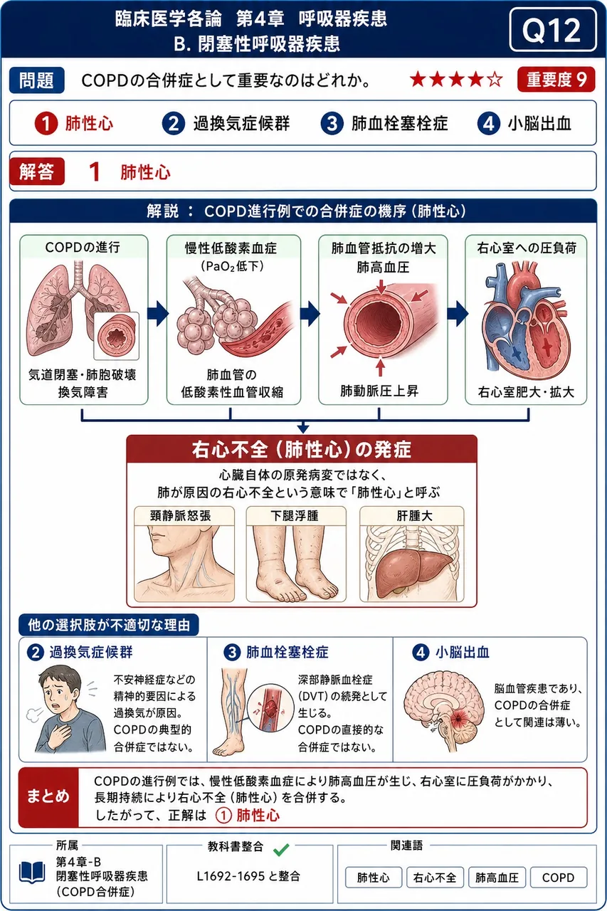 COPDの合併症として重要なのはどれか。 解説図