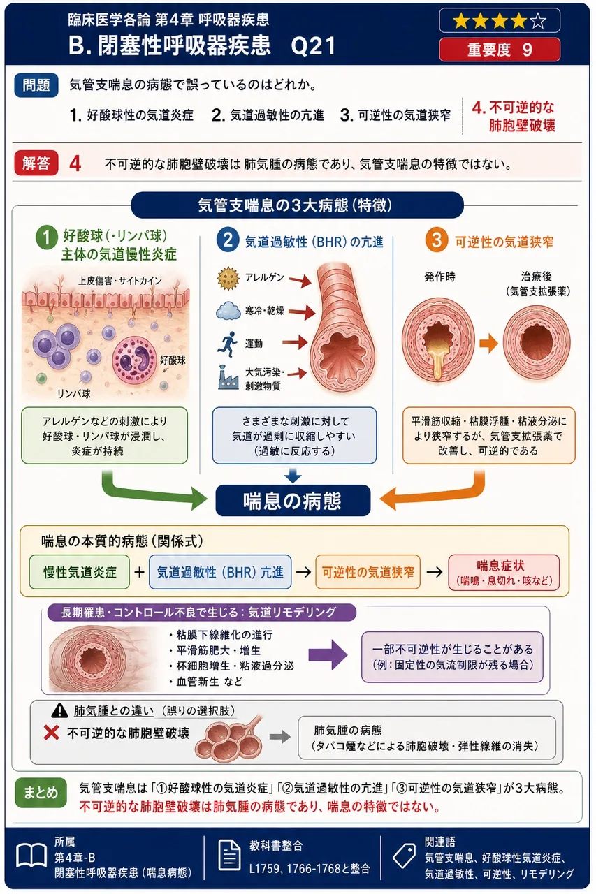 気管支喘息の病態で誤っているのはどれか。 解説図
