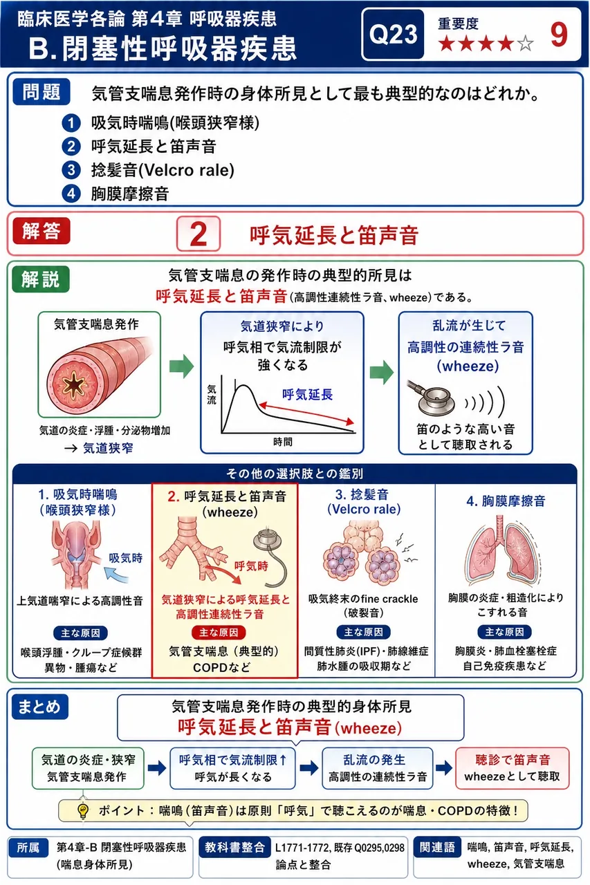 気管支喘息発作時の身体所見として最も典型的なのはどれか。 解説図