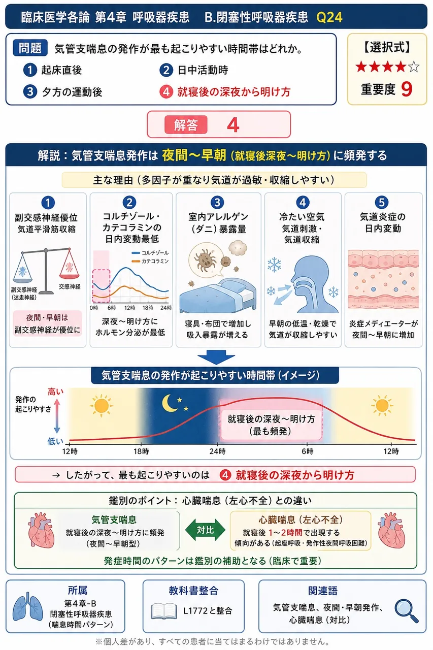 気管支喘息の発作が最も起こりやすい時間帯はどれか。 解説図