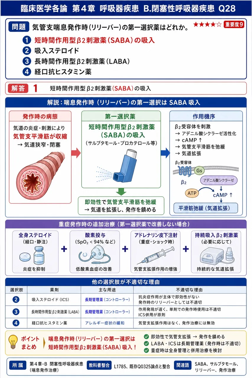 気管支喘息発作時(リリーバー)の第一選択薬はどれか。 解説図