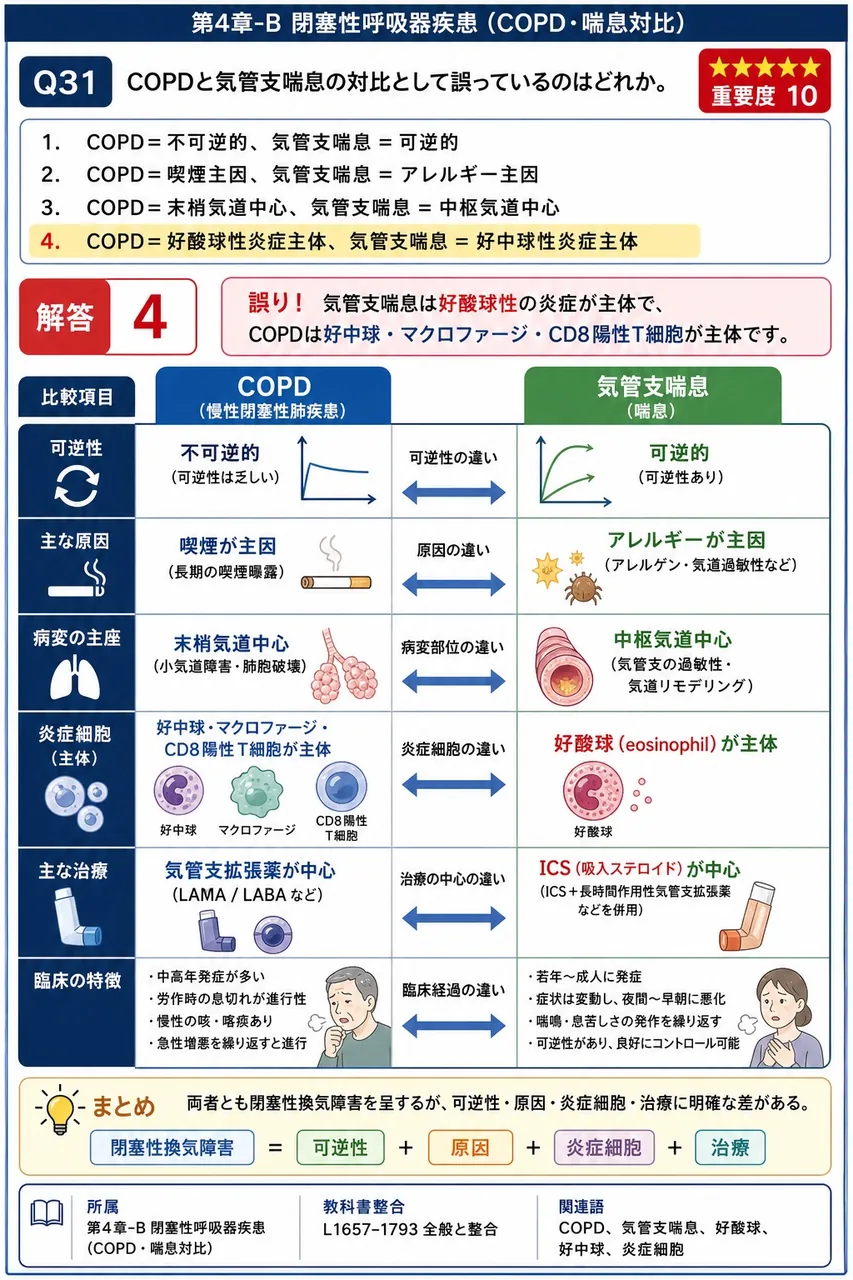 COPDと気管支喘息の対比として誤っているのはどれか。 解説図