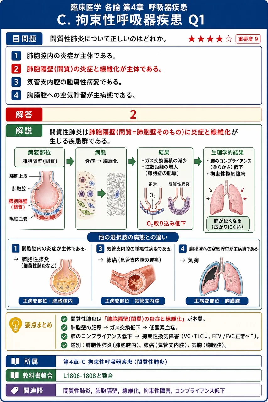 間質性肺炎について正しいのはどれか。 解説図