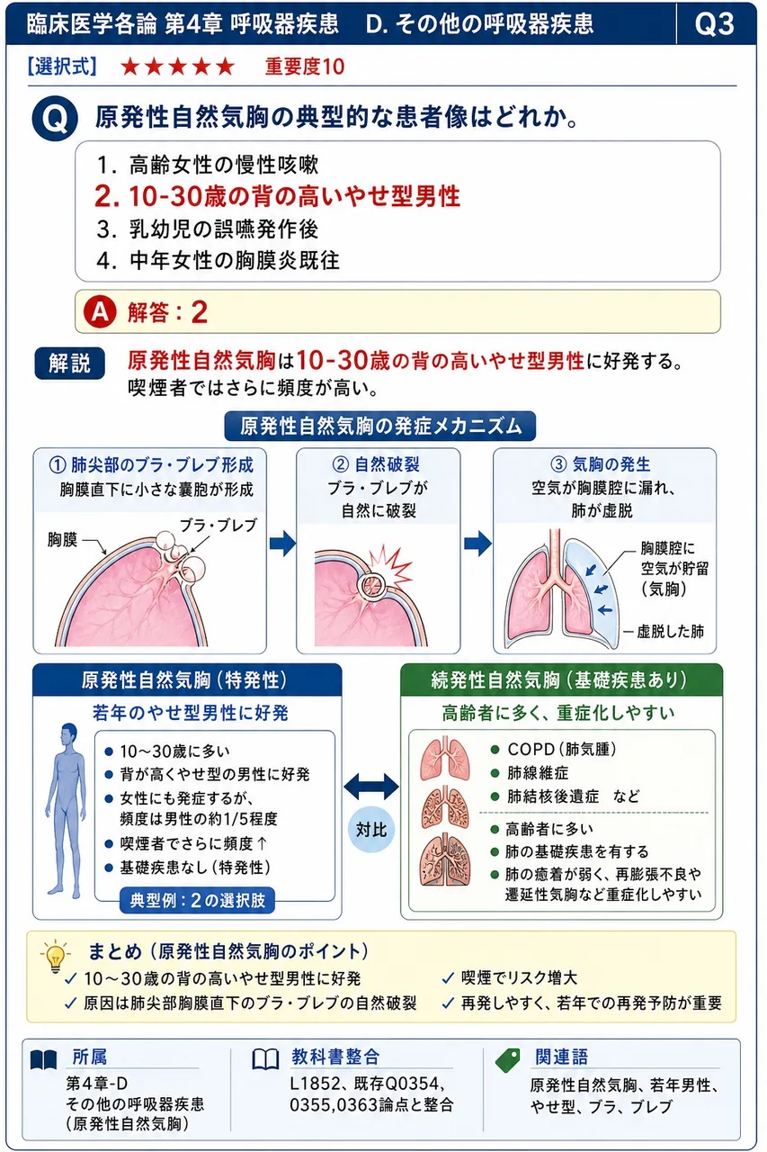 原発性自然気胸の典型的な患者像はどれか。 解説図