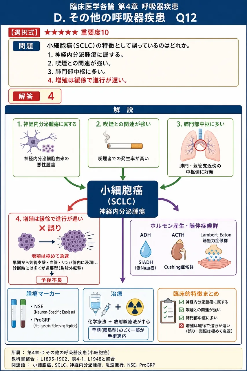 小細胞癌(SCLC)の特徴として誤っているのはどれか。 解説図