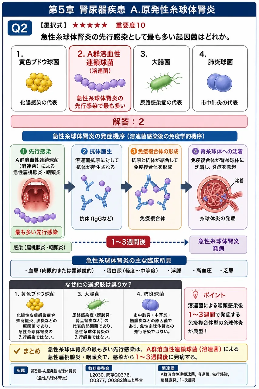 急性糸球体腎炎の先行感染として最も多い起因菌はどれか。 解説図