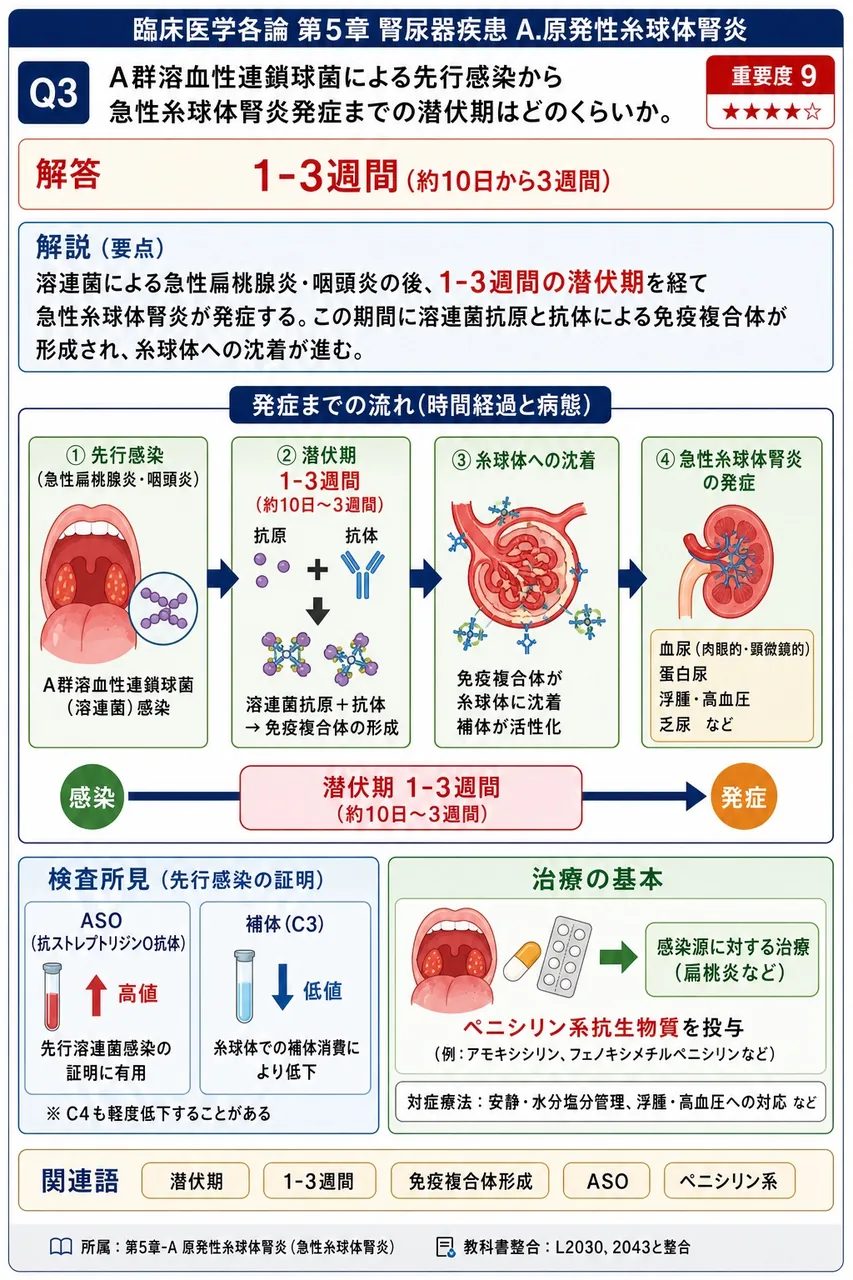 A群溶血性連鎖球菌による先行感染から急性糸球体腎炎発症までの潜伏期はどのくらいか。 解説図