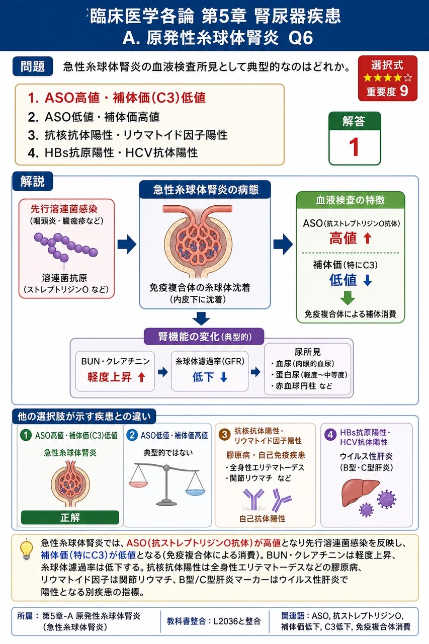 急性糸球体腎炎の血液検査所見として典型的なのはどれか。 解説図