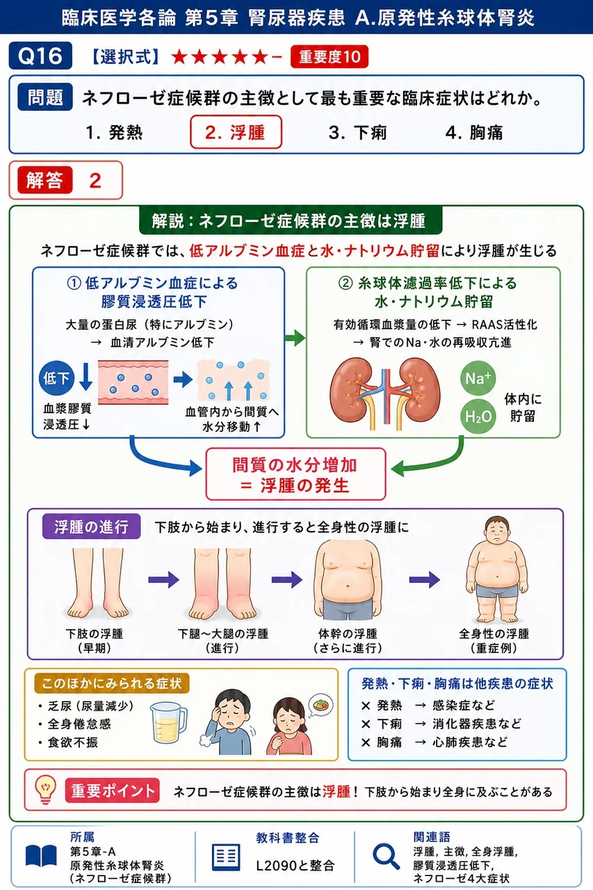 ネフローゼ症候群の主徴として最も重要な臨床症状はどれか。 解説図