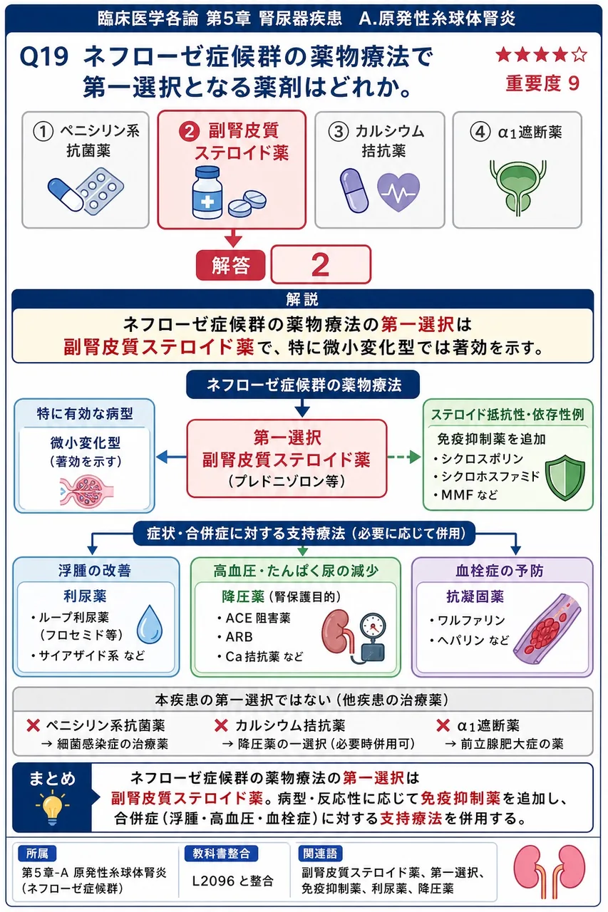 ネフローゼ症候群の薬物療法で第一選択となる薬剤はどれか。 解説図