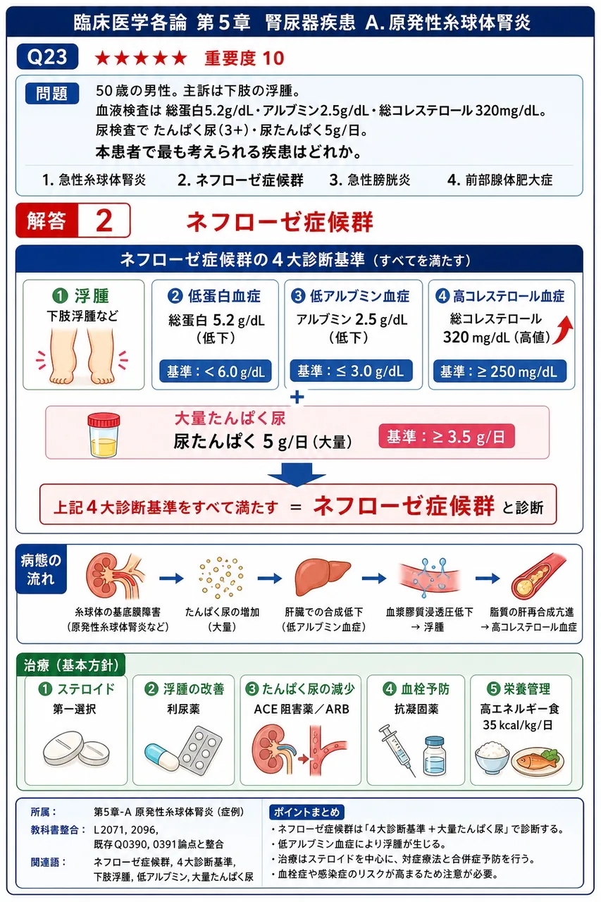 「50歳の男性。主訴は下肢の浮腫。血液検査は総蛋白5.2g/dL・アルブミン2.5g/dL・総コレステロール320mg/dL。尿検査でたんぱく尿(3+)・尿たんぱく5g/日。」本患者で最も考えられる疾患はどれか。 解説図