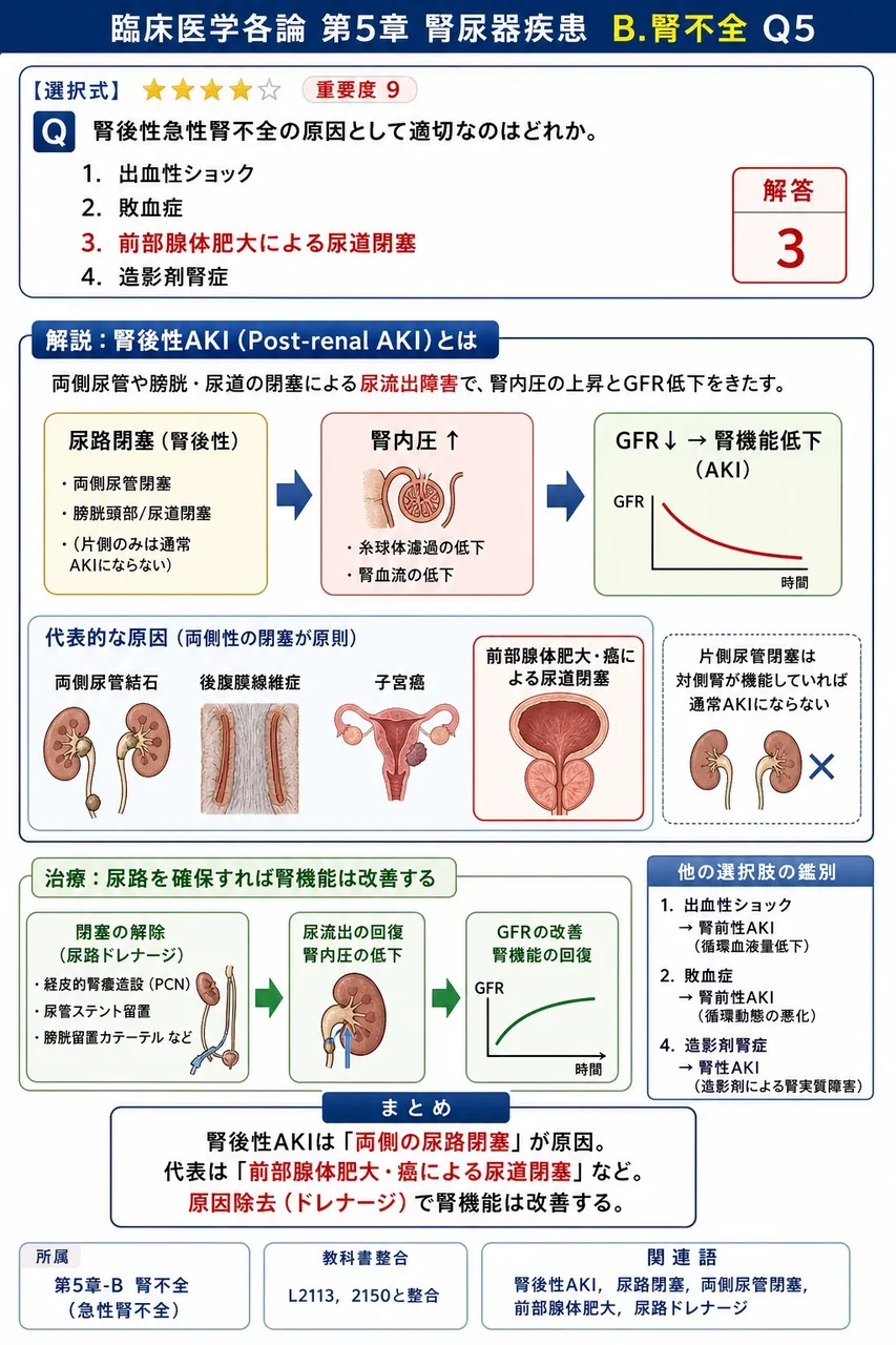 腎後性急性腎不全の原因として適切なのはどれか。 解説図