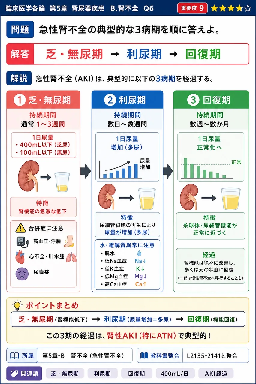 急性腎不全の典型的な3病期を順に答えよ。 解説図