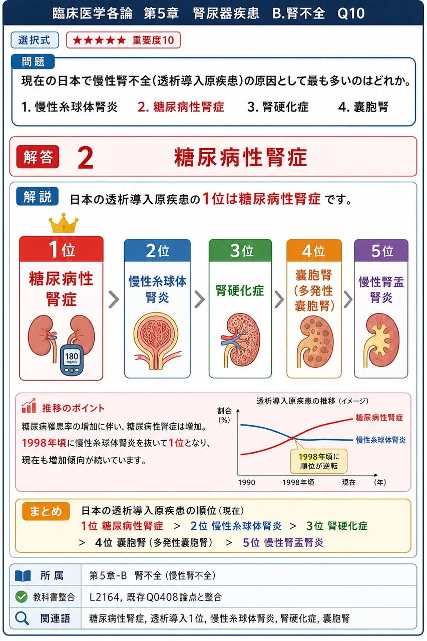 現在の日本で慢性腎不全(透析導入原疾患)の原因として最も多いのはどれか。 解説図