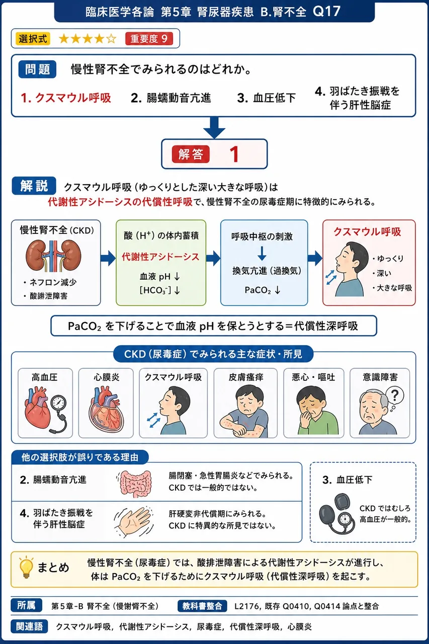 慢性腎不全でみられるのはどれか。 解説図