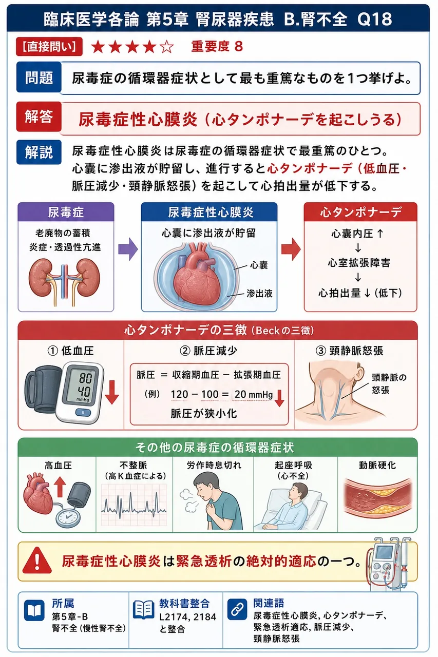 尿毒症の循環器症状として最も重篤なものを1つ挙げよ。 解説図