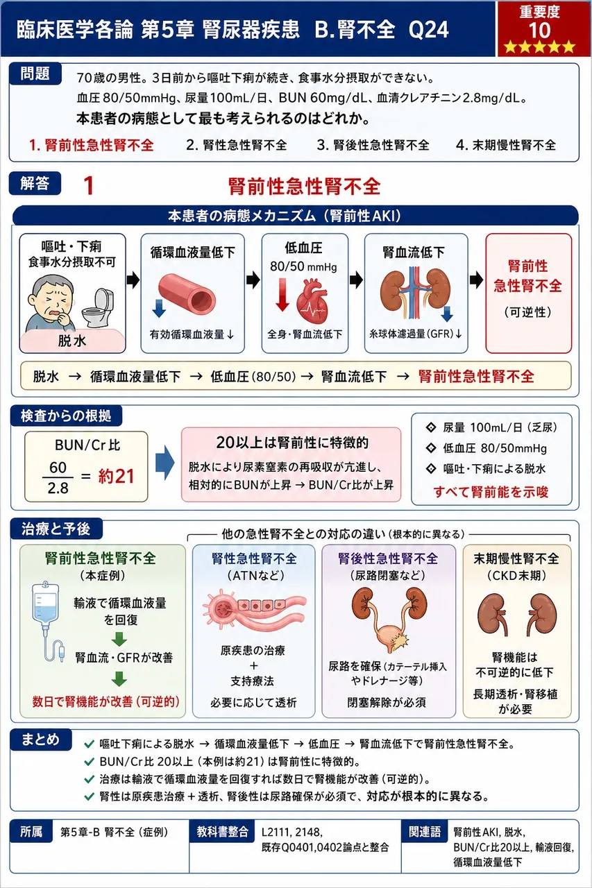 「70歳の男性。3日前から嘔吐下痢が続き、食事水分摂取ができない。血圧80/50mmHg、尿量100mL/日、BUN 60mg/dL、血清クレアチニン2.8mg/dL。」本患者の病態として最も考えられるのはどれか。 解説図
