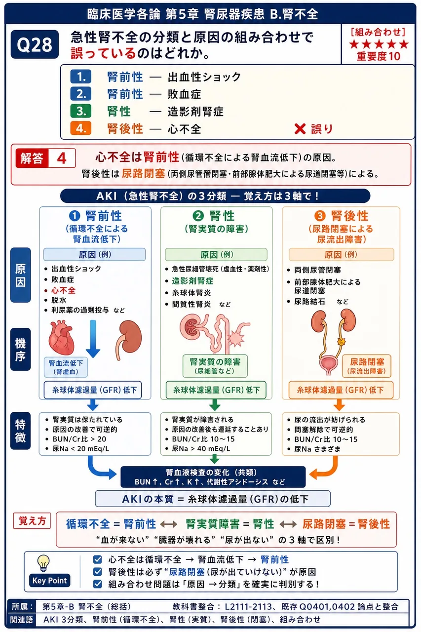 急性腎不全の分類と原因の組み合わせで誤っているのはどれか。 解説図