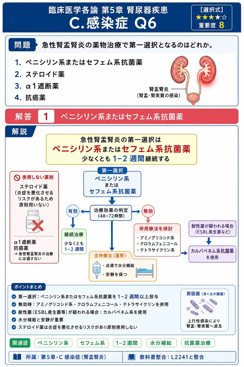 急性腎盂腎炎の薬物治療で第一選択となるのはどれか。 解説図
