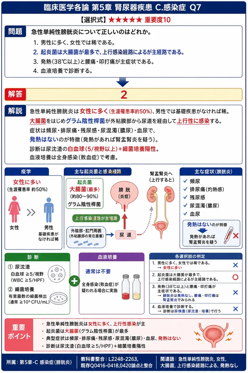 急性単純性膀胱炎について正しいのはどれか。 解説図