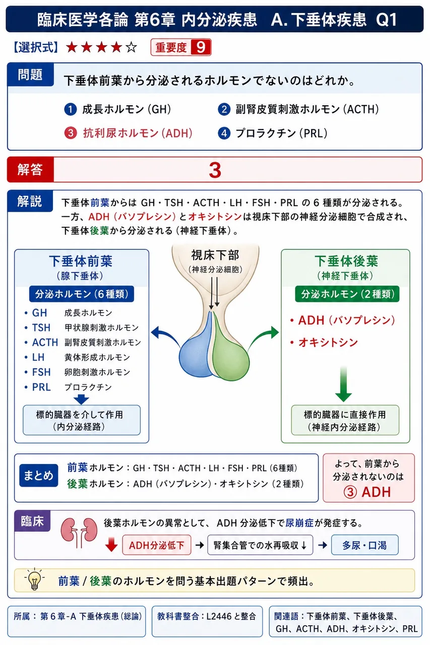 下垂体前葉から分泌されるホルモンでないのはどれか。 解説図
