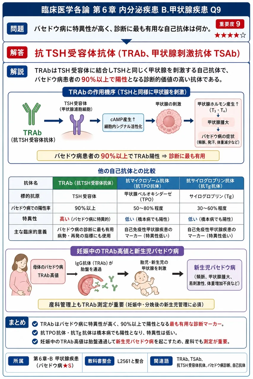 バセドウ病に特異性が高く、診断に最も有用な自己抗体は何か。 解説図