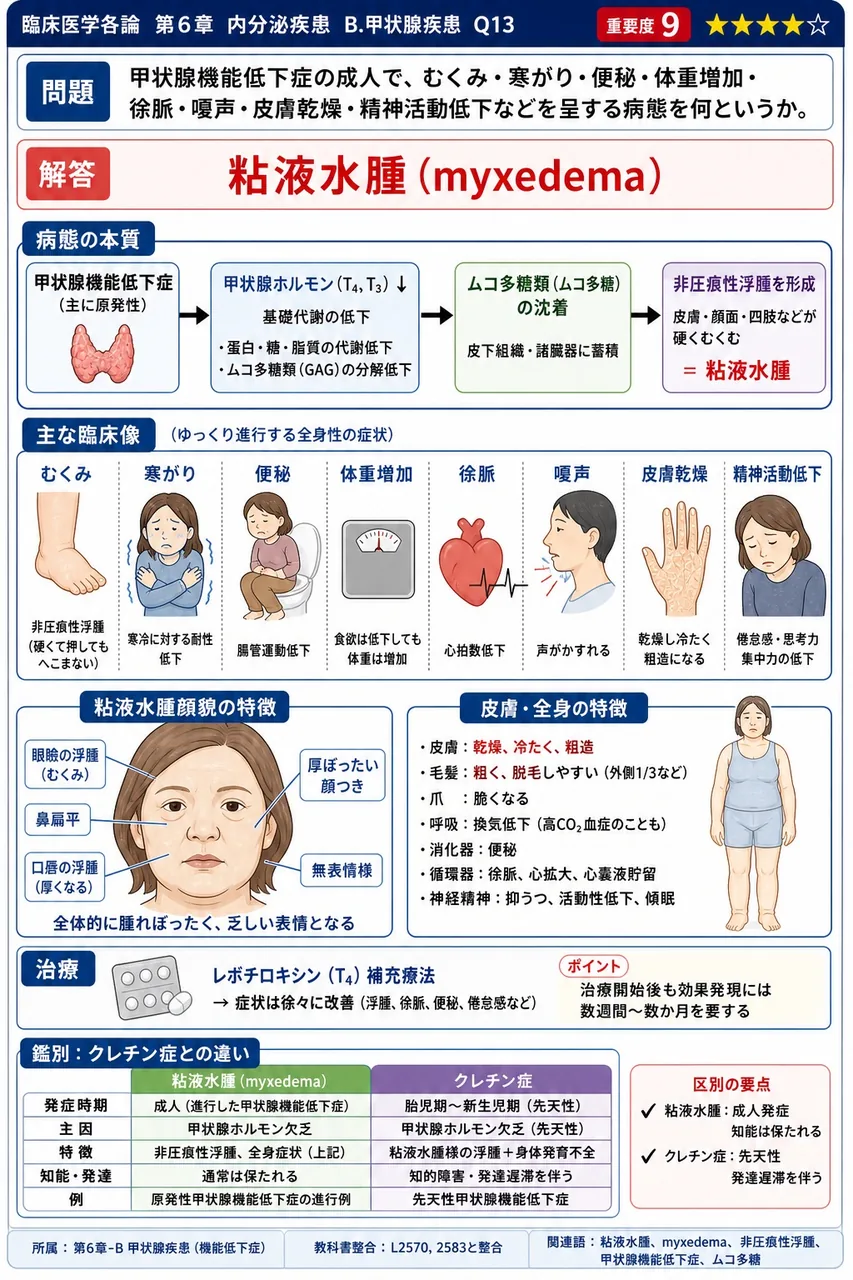 甲状腺機能低下症の成人で、むくみ・寒がり・便秘・体重増加・徐脈・嗄声・皮膚乾燥・精神活動低下などを呈する病態を何というか。 解説図