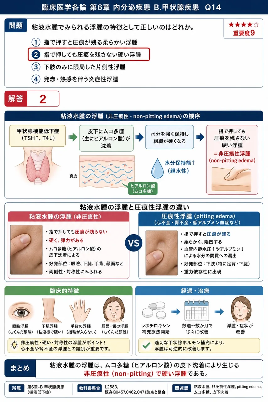 粘液水腫でみられる浮腫の特徴として正しいのはどれか。 解説図