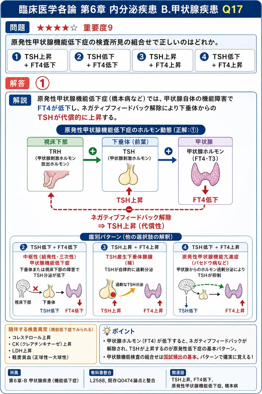 原発性甲状腺機能低下症の検査所見の組合せで正しいのはどれか。 解説図