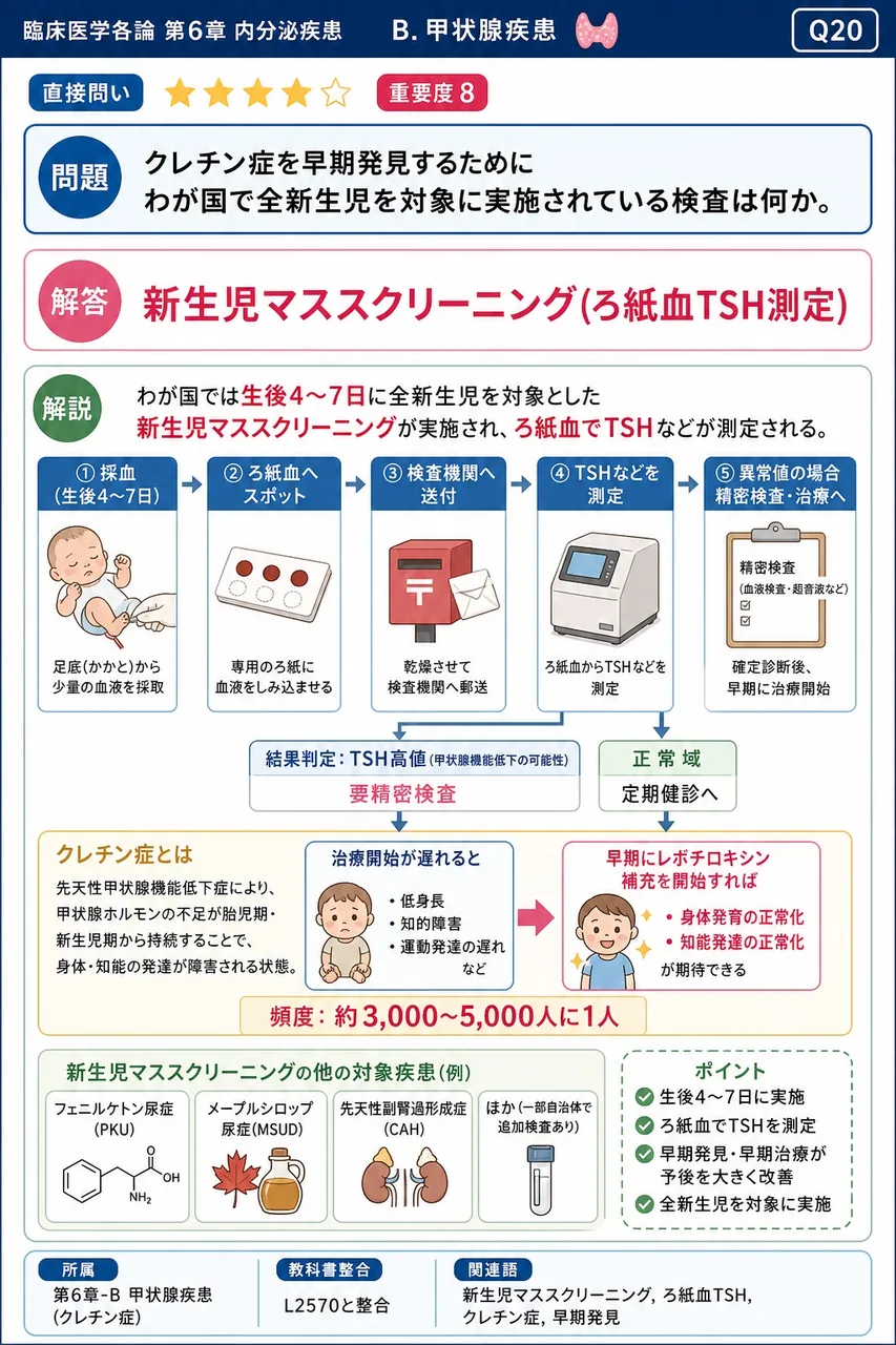 クレチン症を早期発見するためにわが国で全新生児を対象に実施されている検査は何か。 解説図