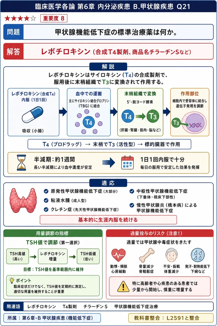 甲状腺機能低下症の標準治療薬は何か。 解説図