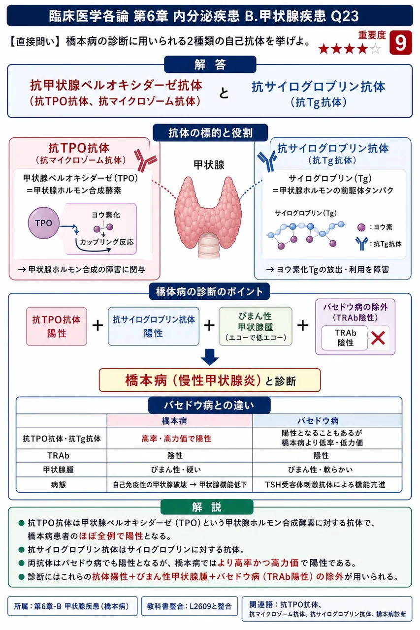 橋本病の診断に用いられる2種類の自己抗体を挙げよ。 解説図