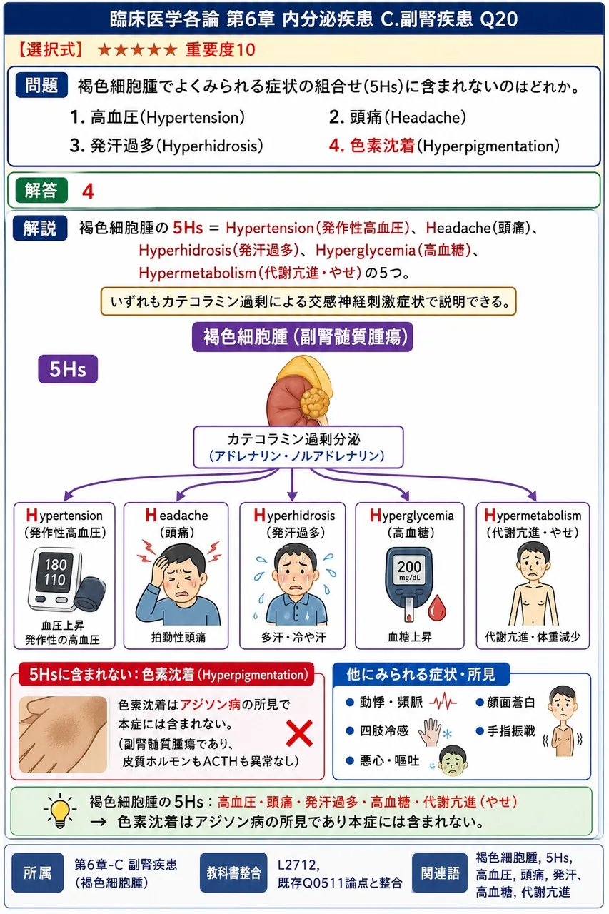 褐色細胞腫でよくみられる症状の組合せ(5Hs)に含まれないのはどれか。 解説図