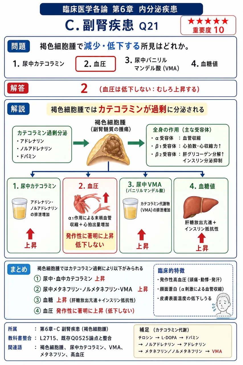 褐色細胞腫で**減少・低下する**所見はどれか。 解説図