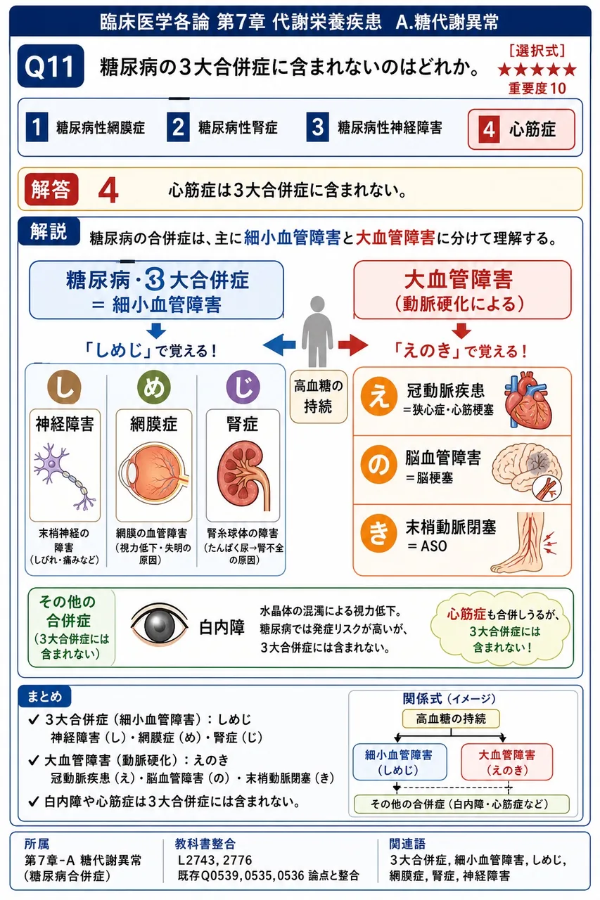 糖尿病の3大合併症に含まれないのはどれか。 解説図