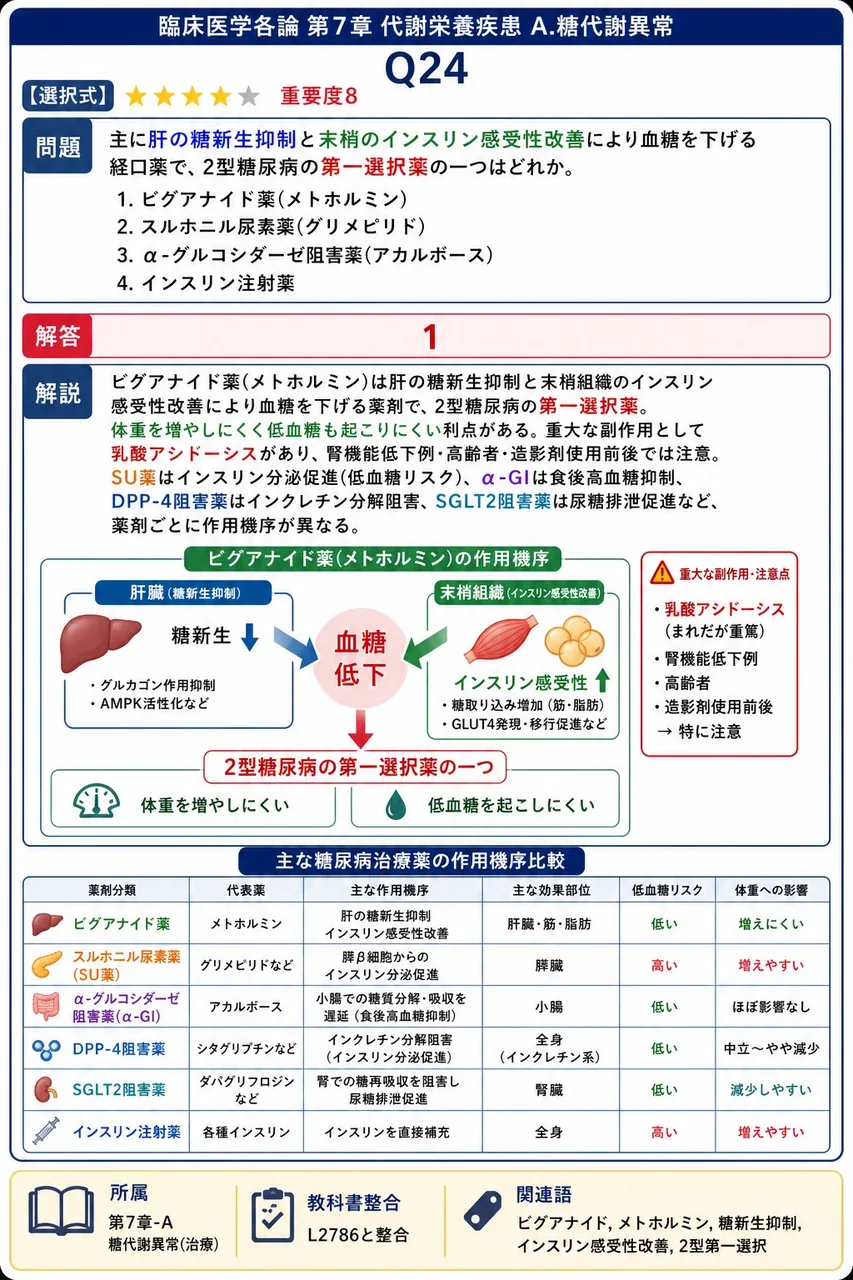 主に肝の糖新生抑制と末梢のインスリン感受性改善により血糖を下げる経口薬で、2型糖尿病の第一選択薬の一つはどれか。 解説図