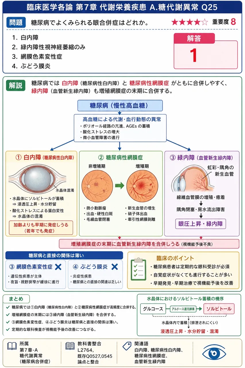 糖尿病でよくみられる眼合併症はどれか。 解説図