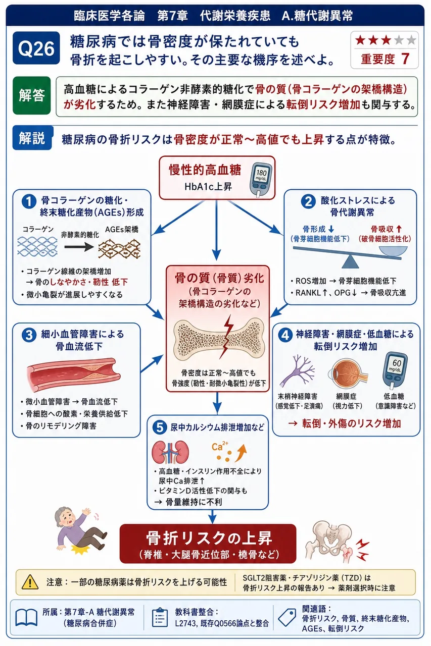 糖尿病では骨密度が保たれていても骨折を起こしやすい。その主要な機序を述べよ。 解説図