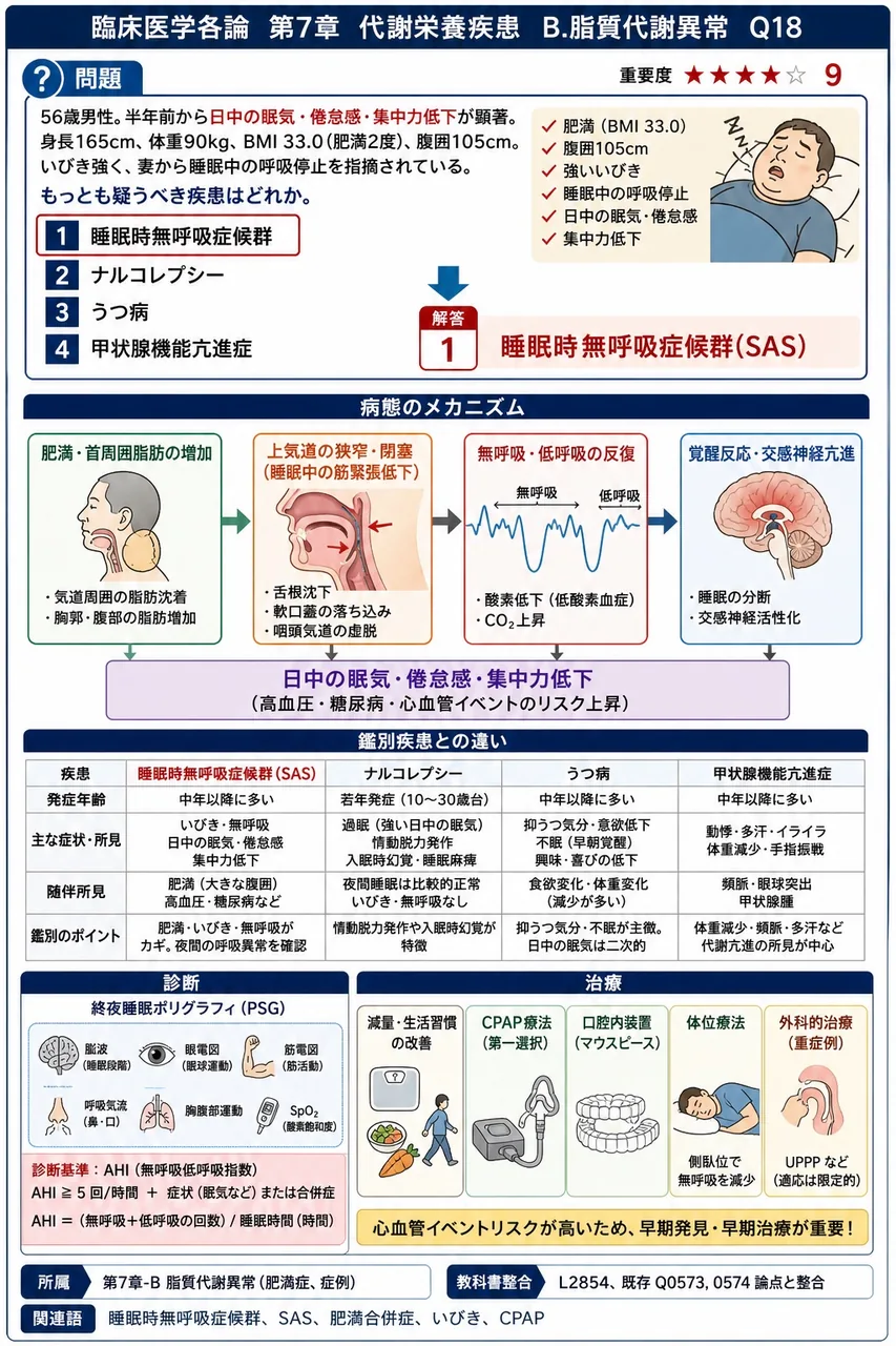 56歳男性。半年前から日中の眠気・倦怠感・集中力低下が顕著。身長165cm、体重90kg、BMI 33.0(肥満2度)、腹囲105cm。いびき強く、妻から睡眠中の呼吸停止を指摘されている。もっとも疑うべき疾患はどれか。 解説図