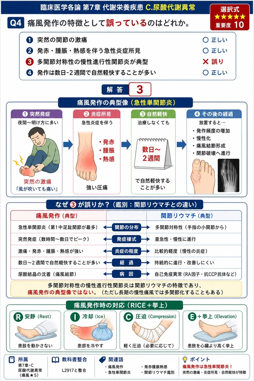 痛風発作の特徴として**誤っている**のはどれか。 解説図