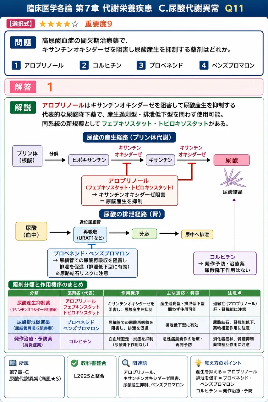 高尿酸血症の間欠期治療薬で、キサンチンオキシダーゼを阻害し尿酸産生を抑制する薬剤はどれか。 解説図