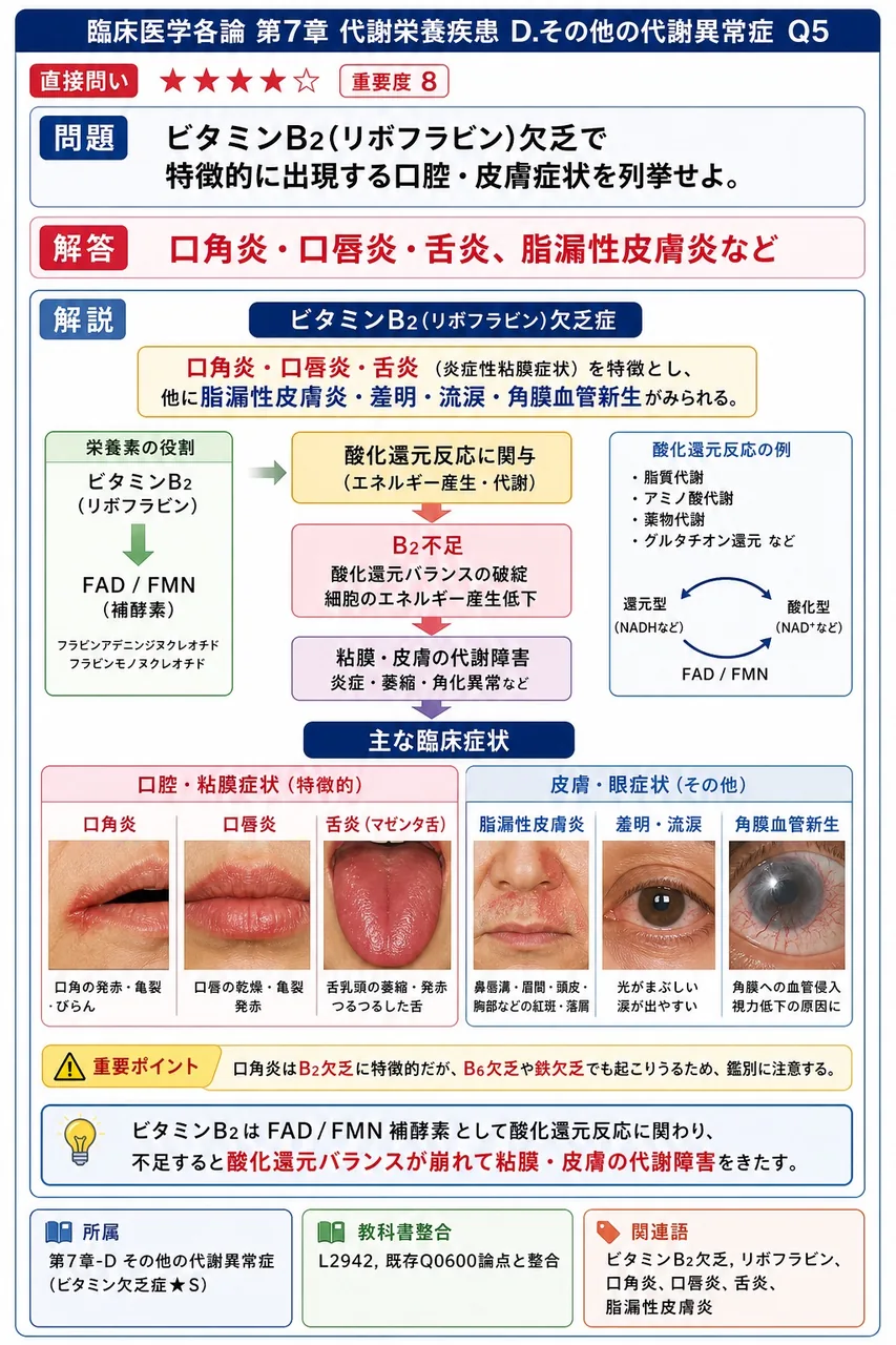 ビタミンB2(リボフラビン)欠乏で特徴的に出現する口腔・皮膚症状を列挙せよ。 解説図