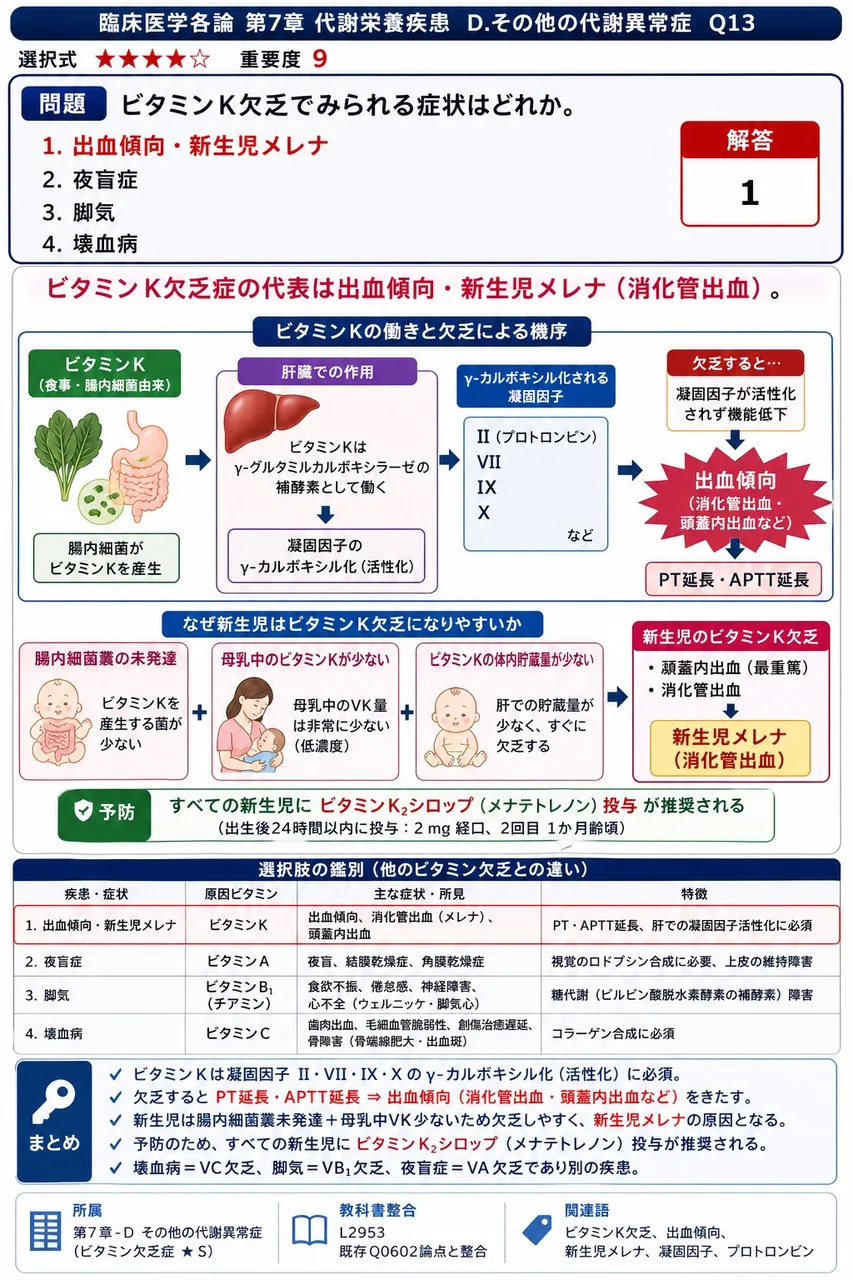 ビタミンK欠乏でみられる症状はどれか。 解説図