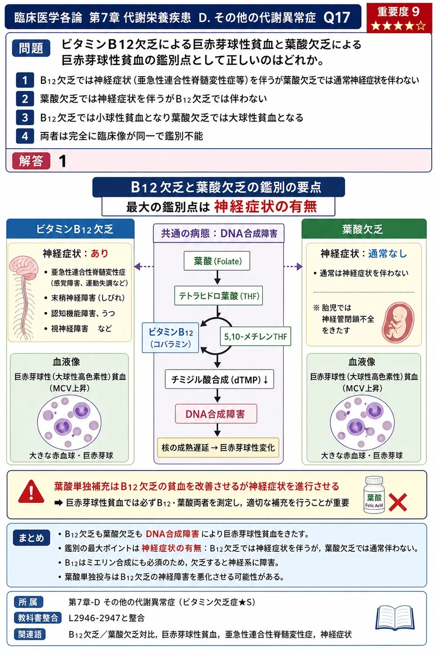 ビタミンB12欠乏による巨赤芽球性貧血と葉酸欠乏による巨赤芽球性貧血の鑑別点として正しいのはどれか。 解説図