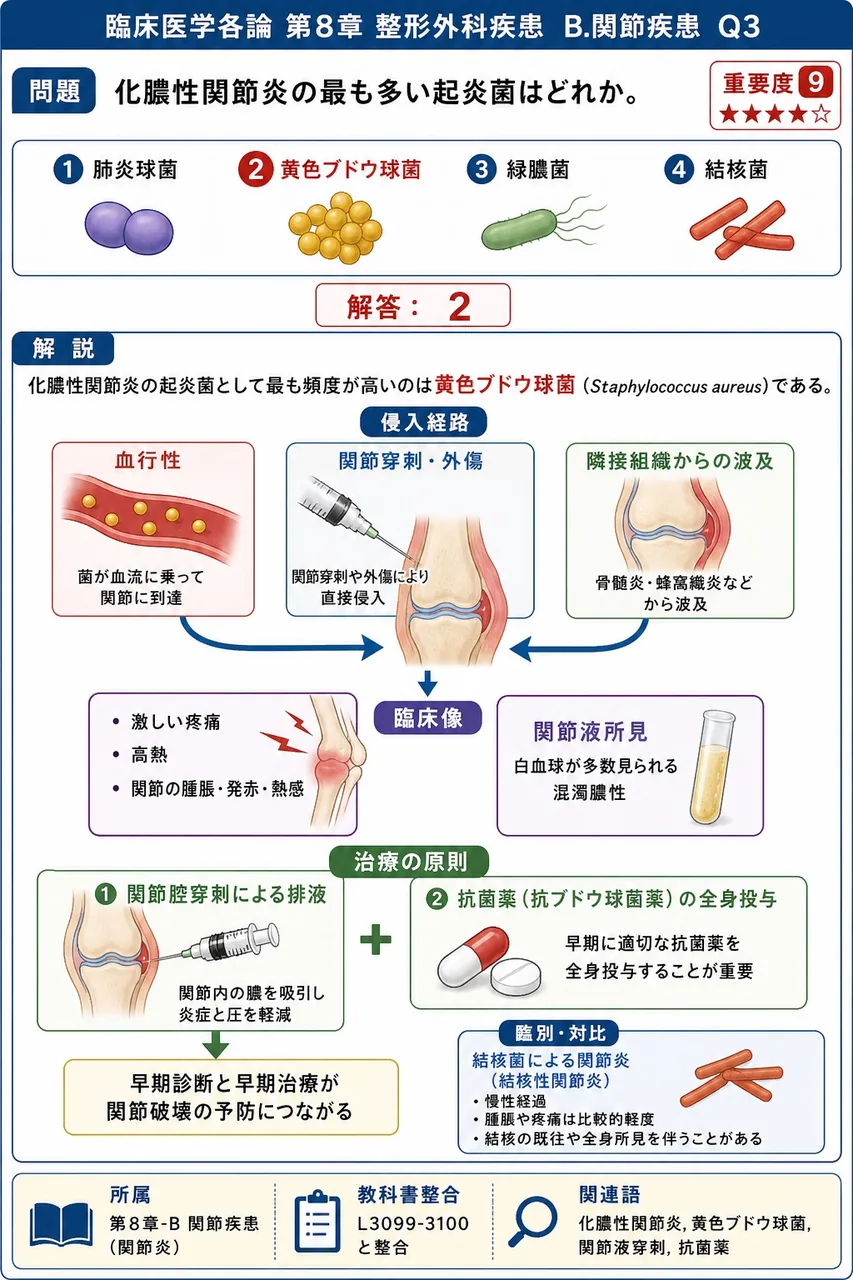 化膿性関節炎の最も多い起炎菌はどれか。 解説図