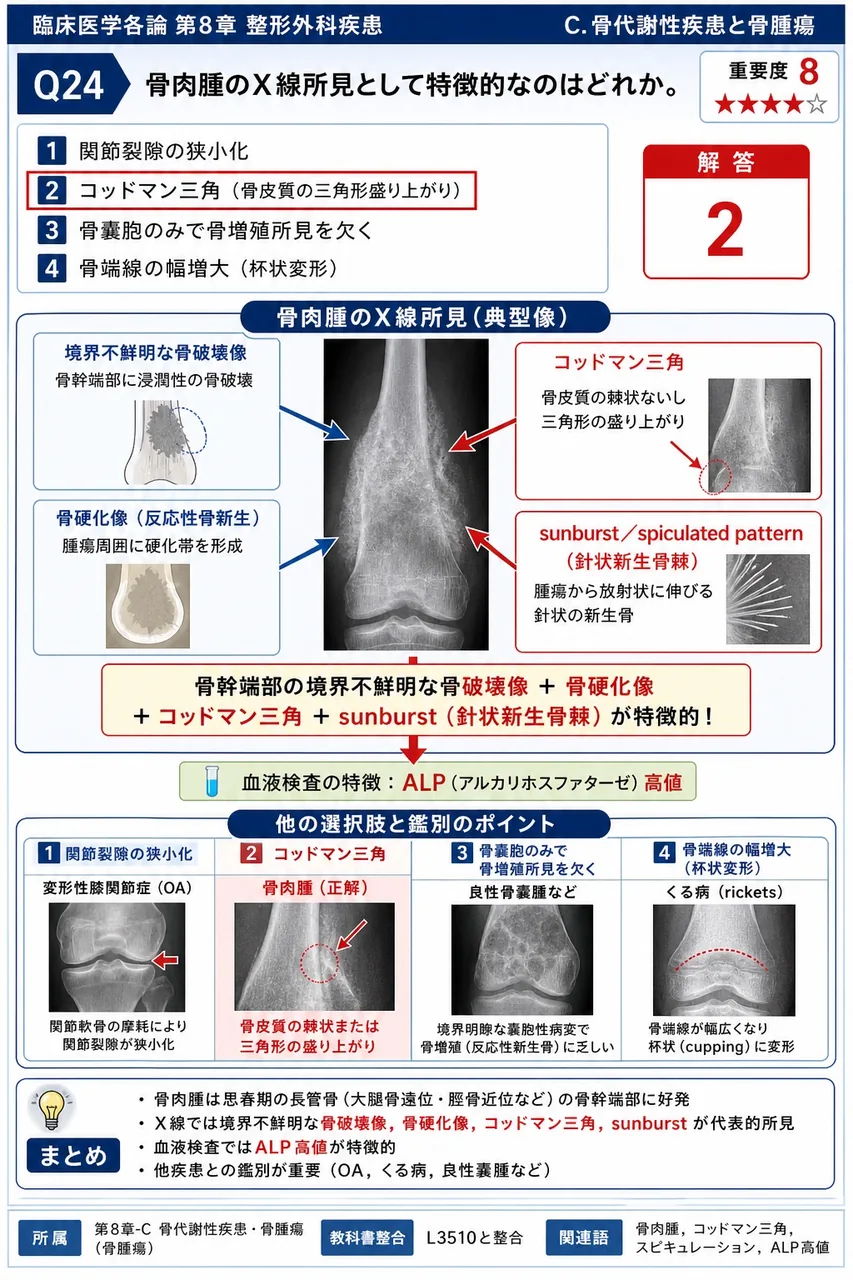 骨肉腫のX線所見として特徴的なのはどれか。 解説図