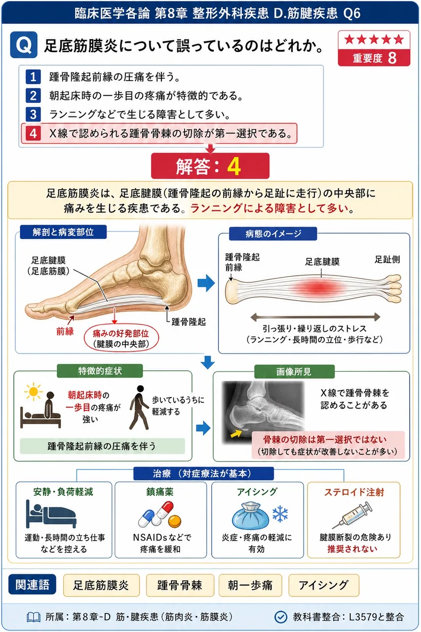 足底筋膜炎について誤っているのはどれか。 解説図