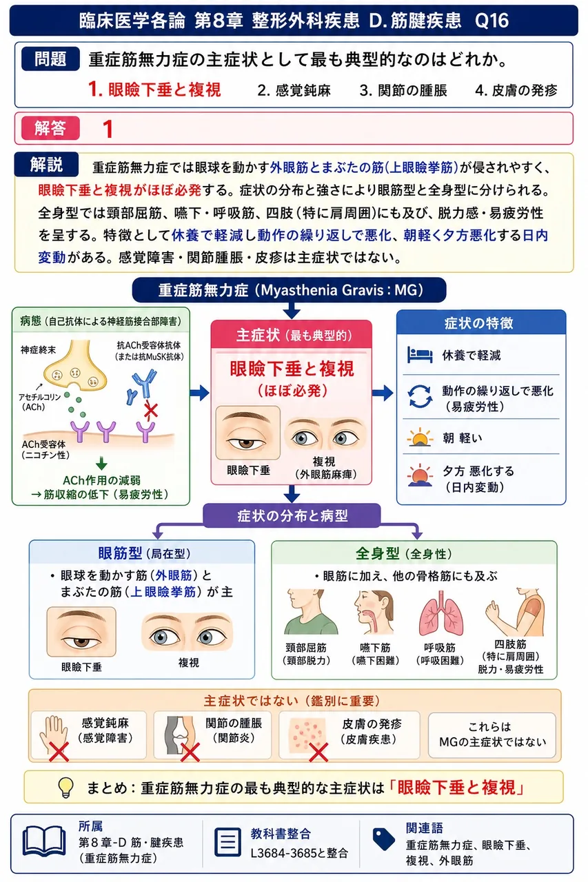 重症筋無力症の主症状として最も典型的なのはどれか。 解説図