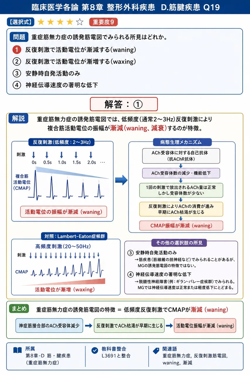 重症筋無力症の誘発筋電図でみられる所見はどれか。 解説図